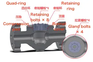 3D model of the valve body and bonnet assembly